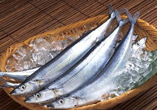 秋刀魚是刀魚嗎？秋刀魚和刀魚的區別
