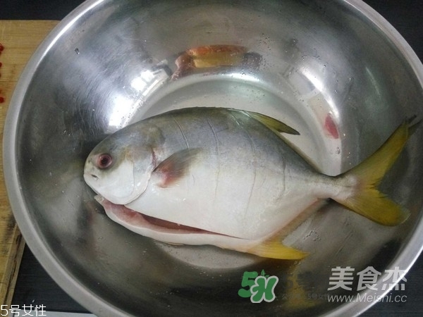 金鯧魚是海魚嗎？金鯧魚的刺多嗎？