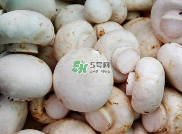 蘑菇變黑了還能吃嗎？蘑菇怎么保存？
