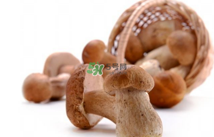 蘑菇能放冰箱嗎？蘑菇能放冰箱多長(zhǎng)時(shí)間？