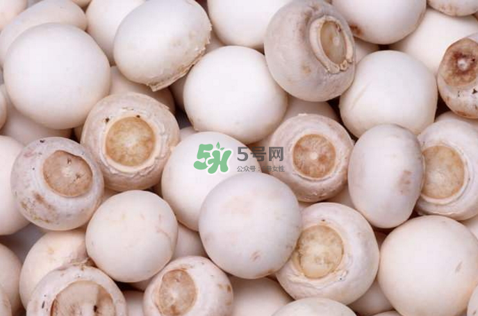 蘑菇能放冰箱嗎？蘑菇能放冰箱多長(zhǎng)時(shí)間？