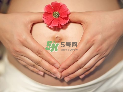 秋天孕婦可以吃絲瓜嗎？秋天孕婦吃絲瓜好嗎？