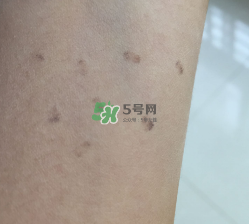 bobbi brown粉餅多少錢？芭比波朗粉餅價格