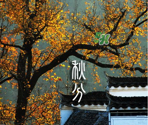 2017秋分會下雨嗎？2017秋分下雨好不好？