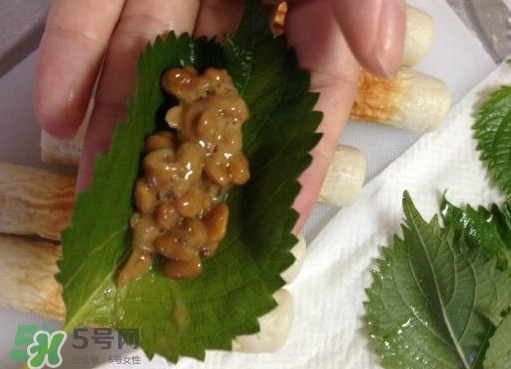 納豆是豆鼓嗎？納豆和豆豉的區別