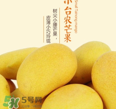 臺農芒果多少錢一斤？臺農芒果為什么叫臺農芒果