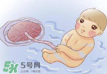 如何預防羊水早破？羊水早破能保胎多久？