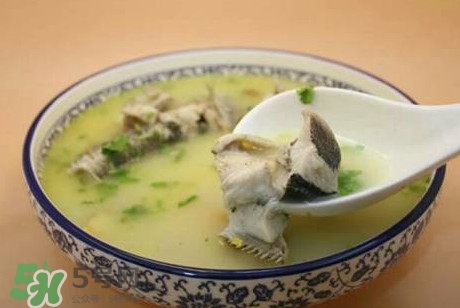 黑魚湯下奶嗎？黑魚湯是下奶還是回奶