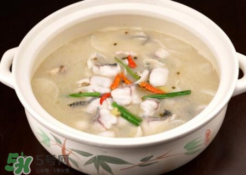 黑魚湯下奶嗎？黑魚湯是下奶還是回奶