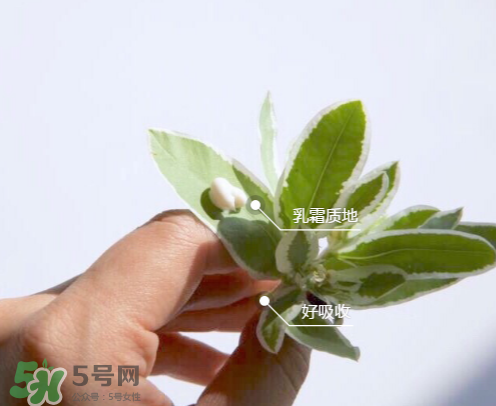 城野醫生377有副作用嗎？城野醫生377用了臉癢是什么原因？