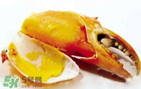 黃油蟹怎么保存？黃油蟹的營養價值