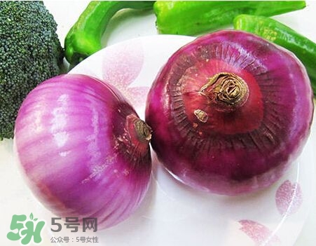 洋蔥狗狗能吃嗎？狗狗吃了洋蔥怎么辦？