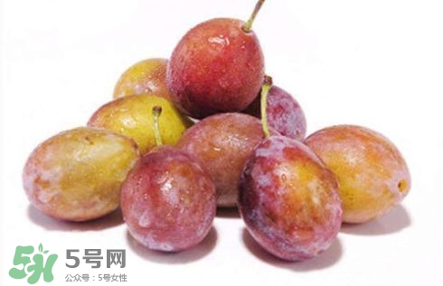 西梅可以放冰箱嗎？西梅放冰箱冷藏還是冷凍？