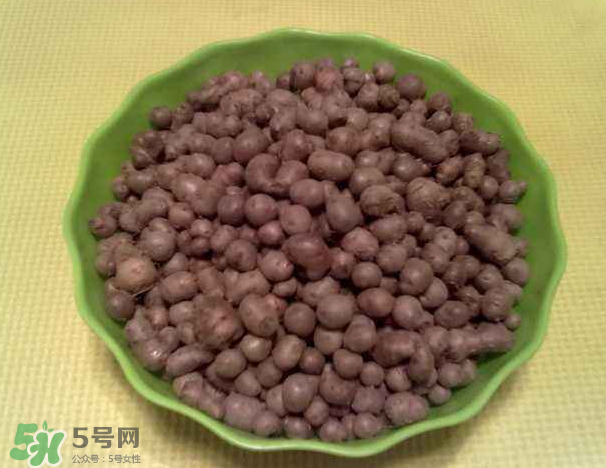 山藥豆是什么東西？山藥豆是長在土里嗎？