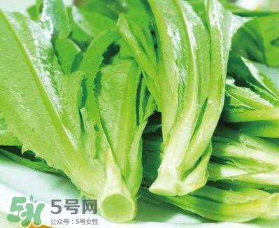萵苣葉能吃嗎？萵苣葉和油麥菜有什么區別
