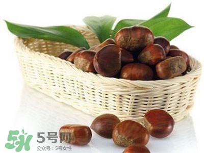 板栗酒能治療腎陽虛嗎？板栗泡酒真的能壯陽嗎？