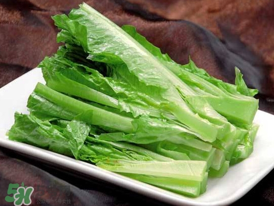 萵苣葉能吃嗎？萵苣葉和油麥菜有什么區別