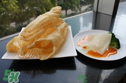 花膠可以放多久？花膠可以放冰箱嗎？