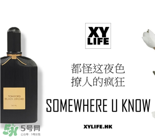tom ford午夜蘭花香水多少錢？午夜蘭花香水專柜價格