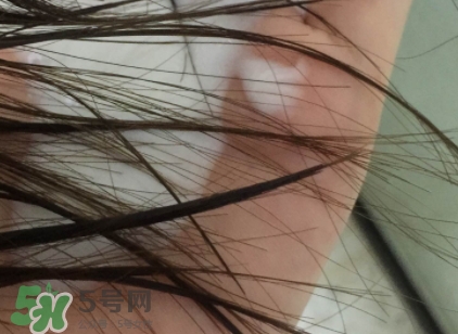 護發素能當柔順劑嗎？護發素當柔順劑好不好
