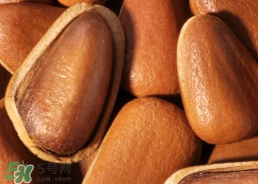 松籽什么季節(jié)采摘？吃松籽有什么好處？