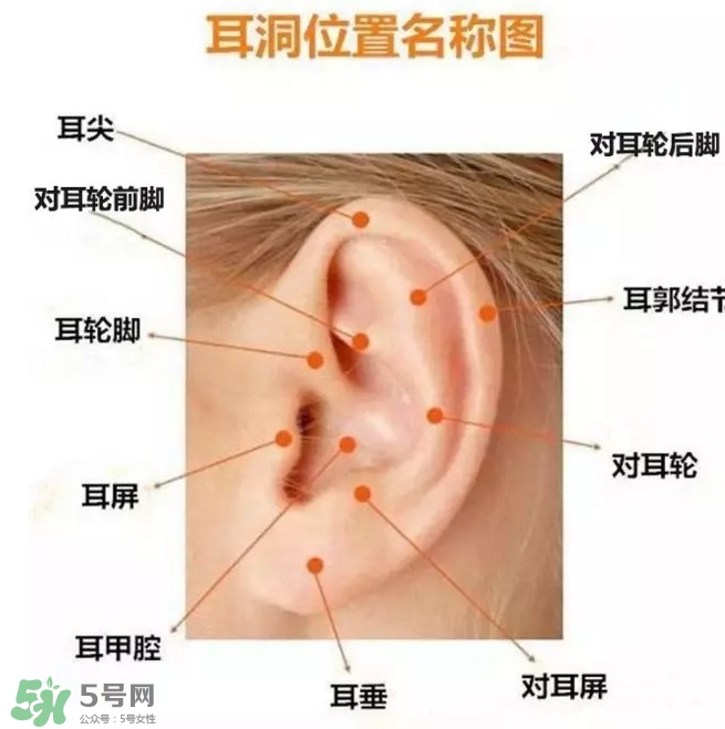 打耳洞多少錢一對？打耳洞相當于什么疼