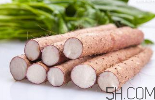 山藥和白蘿卜可以一起燉湯嗎？冬天吃山藥的五大好處