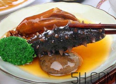 海參是海鮮嗎？海參是動(dòng)物還是植物？