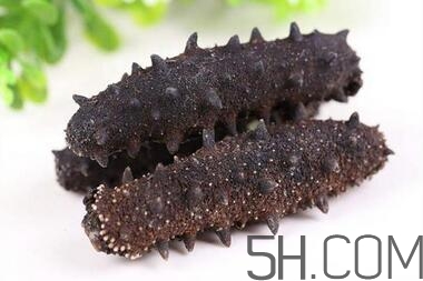 海參是越大越好嗎？海參的生長年限與營養價值有關嗎？