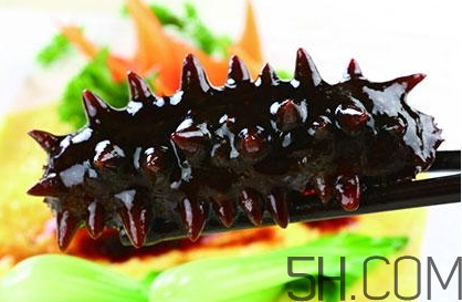 海參是高蛋白食物嗎？海參是素食嗎？