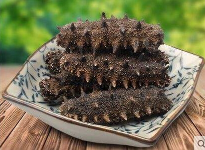 海參刺多好還是刺少好？海參沒有刺是怎么回事？