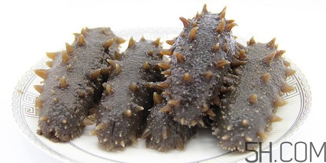 海參是越大越好嗎？海參的生長年限與營養價值有關嗎？