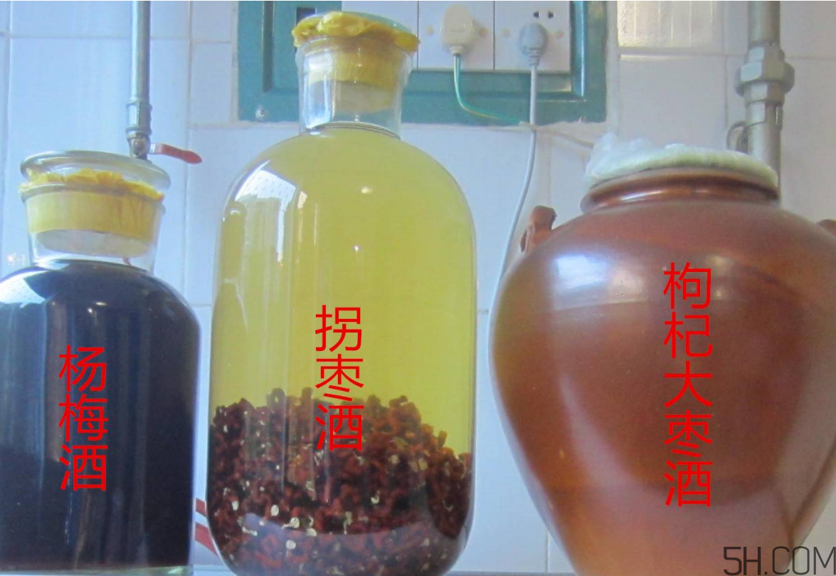 拐棗能泡酒嗎？拐棗能和蜂糖一起泡酒嗎？