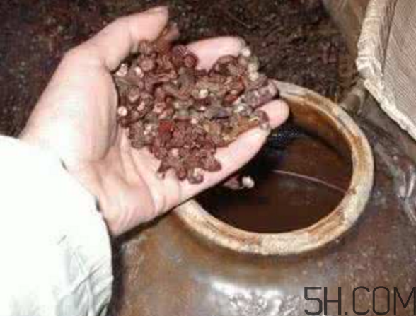 拐棗能泡酒嗎？拐棗能和蜂糖一起泡酒嗎？