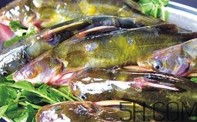 黃骨魚是發物嗎？黃骨魚是什么魚？