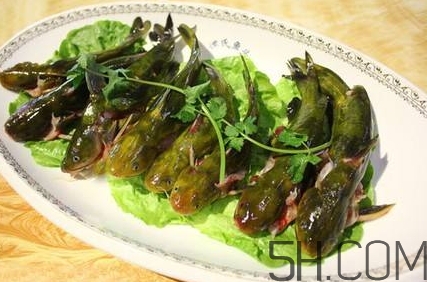 黃骨魚和鯽魚哪個好？黃骨魚和鯽魚的營養價值