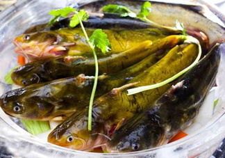 黃骨魚是發物嗎？黃骨魚是什么魚？
