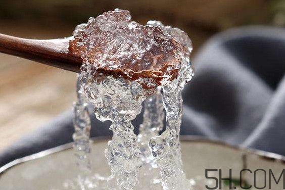 泡發后的雪燕怎么保存？燉好的雪燕可以放多久
