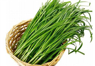 韭菜種植條件有哪些？韭黃和韭菜的區別