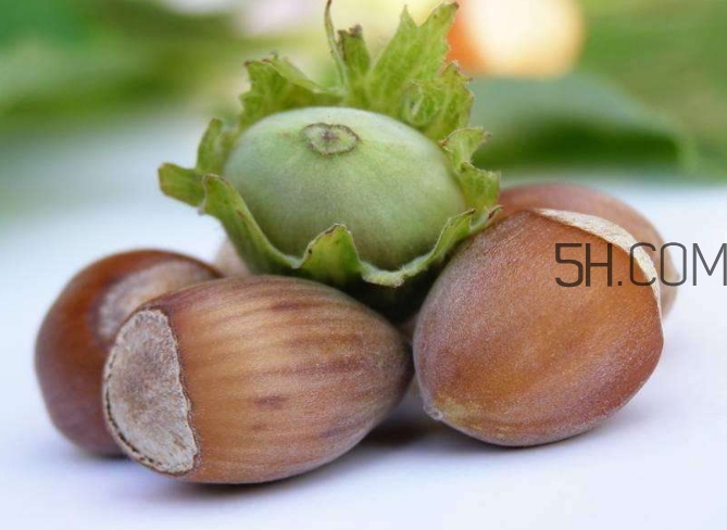 榛子生吃好還是熟吃好？榛子怎么吃營養價值高？