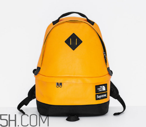 supreme與the north face2017秋冬聯名發售時間_多少錢？