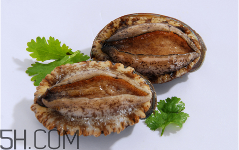 鮑魚吃了會(huì)上火嗎？鮑魚是發(fā)物嗎？