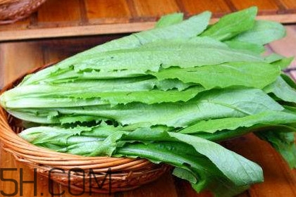 油麥菜是轉基因蔬菜嗎？油麥菜是發物嗎