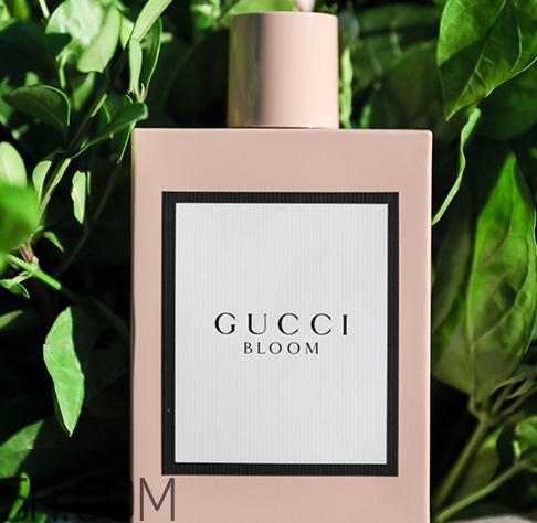gucci bloom香水味道怎么樣？gucci bloom香水香調
