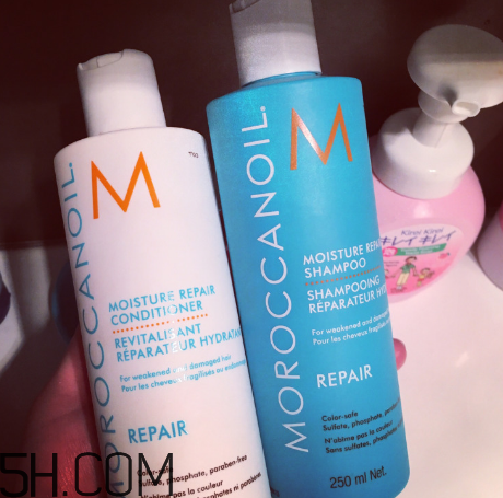 moroccanoil摩洛哥油洗發(fā)水怎么樣？摩洛哥油洗發(fā)水適合發(fā)質
