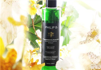 philip b薄荷鱷梨豐盈澄凈洗發水怎么樣？philip b洗發水測評