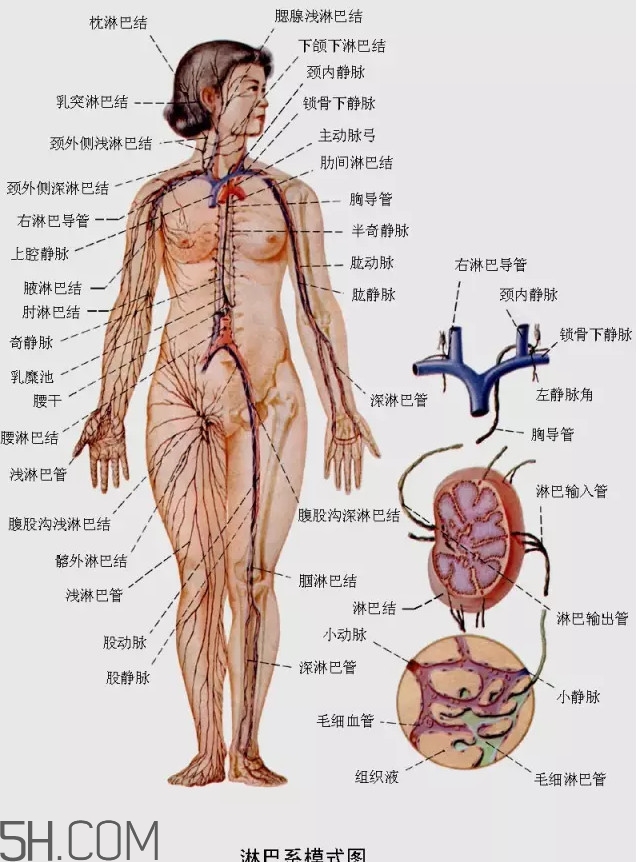 淋巴癌最嚴(yán)重時(shí)會(huì)成什么樣子？淋巴瘤能治好嗎