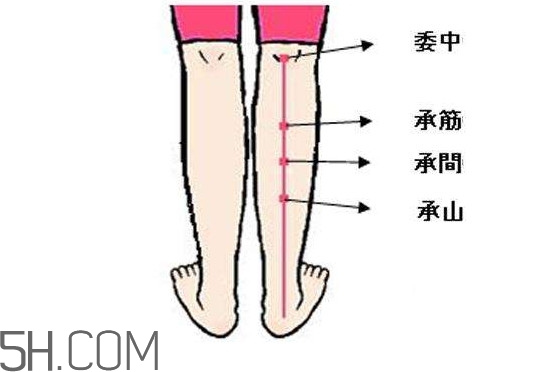 小腿抽筋可以跑步嗎？小腿抽筋可以拔火罐嗎