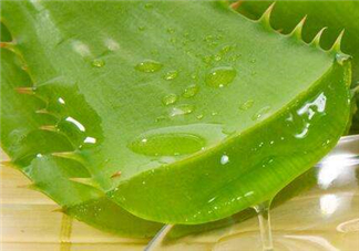自然樂園蘆薈膠怎么用？自然樂園蘆薈膠使用方法