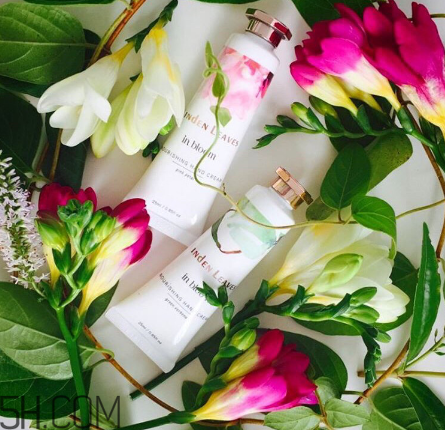 linden leaves香氛護手霜好用嗎？laura ashley護手霜好用嗎？
